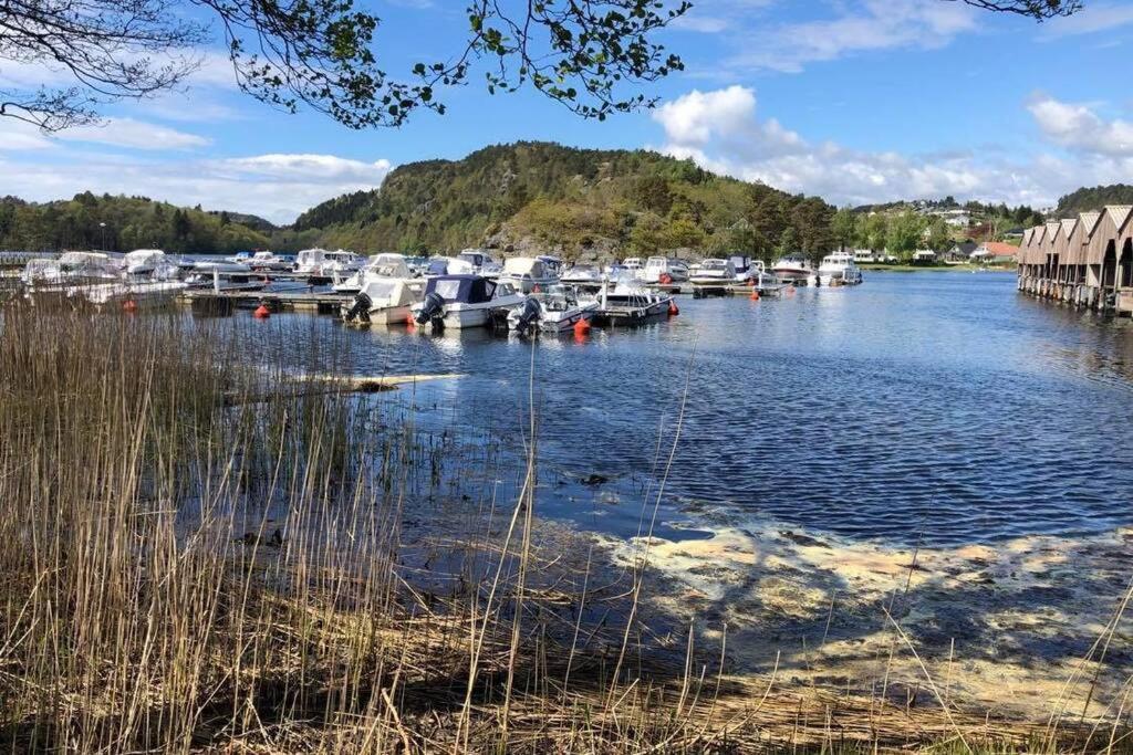 Mit Moeglichkeit Ein Boot Zu Benutzen Und Angeln * Mandal